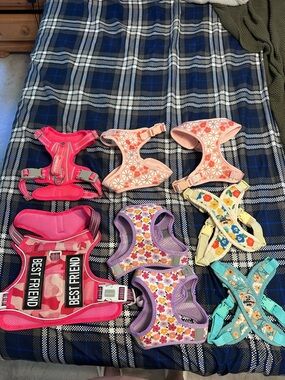 Vibrant Colorful Pet Harness Variety